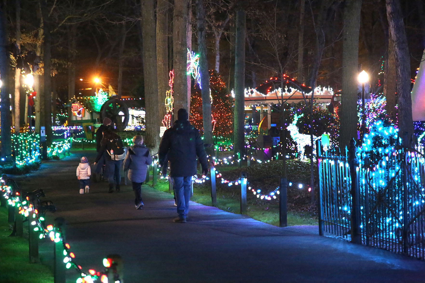 Storybook Land Christmas Fantasy Lights